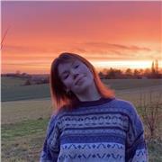 anglais, arts, musique, histoire géo, théatre et cinéma je suis passionné de ces matières !